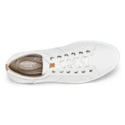 Sneakers|Sneakers><noscript><img width=