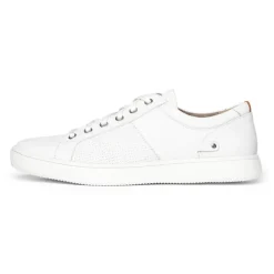 Sneakers|Sneakers><noscript><img width=